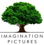 IMAGINATION PICTURES