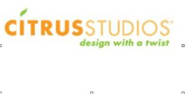 CITRUS STUDIOS DESIGN WITH A TWIST