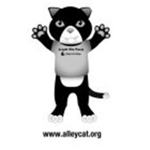 FRANK THE FERAL ALLEY CAT ALLIES WWW.ALLEYCAT.ORG
