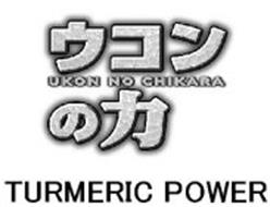 UKON NO CHIKARA TURMERIC POWER