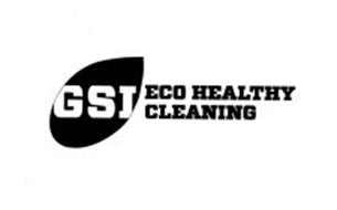 GSI ECO HEALTHY CLEANING