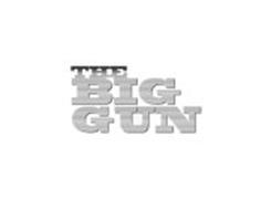 THE BIG GUN