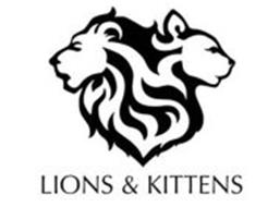 LIONS & KITTENS