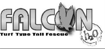 FALCON TURF TYPE TALL FESCUE H2O