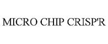 MICRO CHIP CRISP