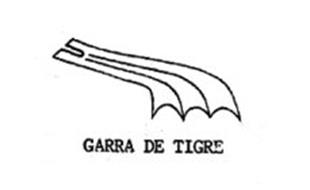 GARRA DE TIGRE
