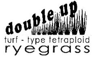 DOUBLE UP TURF - TYPE TETRAPLOID RYEGRASS