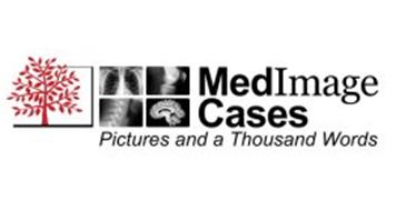 MEDIMAGE CASES, PICTURES AND A THOUSAND WORDS