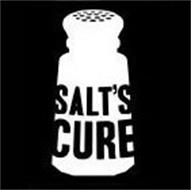 SALT'S CURE