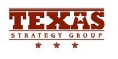 TEXAS STRATEGY GROUP