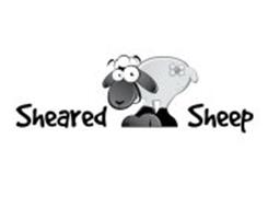 SHEARED SHEEP