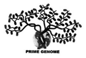 PRIME GENOME