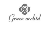 GRACE ORCHID