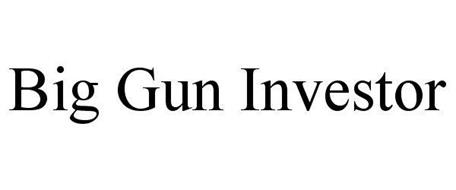 BIG GUN INVESTOR