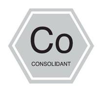 CO CONSOLIDANT