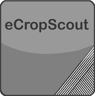 ECROPSCOUT