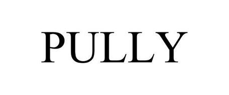 PULLY