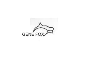 GENE FOX