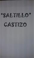 SALTILLO CASTIZO