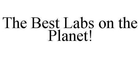 THE BEST LABS ON THE PLANET!