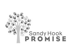 SANDY HOOK PROMISE