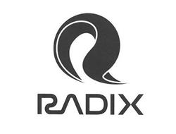 R RADIX