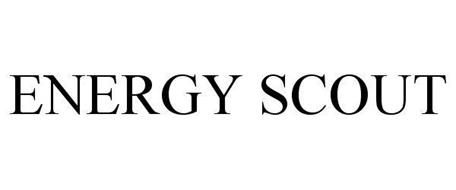 ENERGY SCOUT