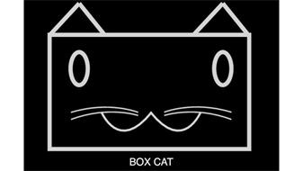 BOX CAT