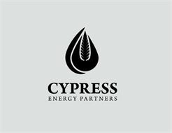 CYPRESS ENERGY PARTNERS