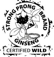 STRONG PRONG BRAND GINSENG CERTIFIED WILD