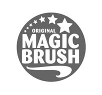 ORIGINAL MAGIC BRUSH