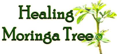 HEALING MORINGA TREE