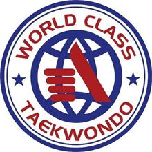 WORLD CLASS TAEKWONDO 1