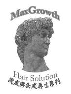 MAXGROWTH HAIR SOLUTION