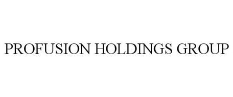 PROFUSION HOLDINGS GROUP