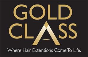 GOLD CLASS WHERE HAIR EXTENSIONS COME TO LIFE.