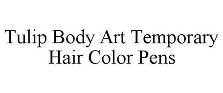 TULIP BODY ART TEMPORARY HAIR COLOR PENS