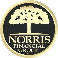 NORRIS FINANCIAL GROUP, LLC