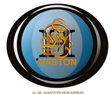 H HASTON D M HASTON HOLDINGS
