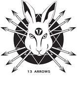 13 ARROWS