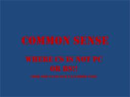 COMMON SENSE WHERE CS IS NOT PC OR BS!! LOOK FOR US ON OUR FACE BOOK PAGE