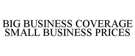 BIG BUSINESS COVERAGE SMALL BUSINESS PRICES