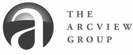 A THE ARCVIEW GROUP