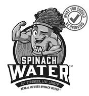 WHAT YOU SHOULD BE DRINKING SW SPINACH WATER GET STRONGER, LIVE LONGER HERBAL INFUSED SPINACH WATER