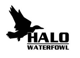 HALO WATERFOWL