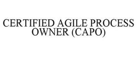 CERTIFIED AGILE PROCESS OWNER (CAPO)