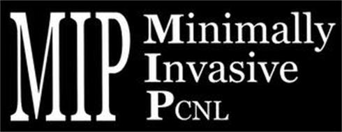 MIP MINIMALLY INVASIVE PCNL