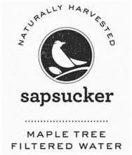 NATURALLY HARVESTED SAPSUCKER MAPLE TREE FILTERED WATER