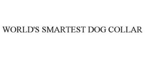 WORLD'S SMARTEST DOG COLLAR