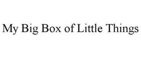 MY BIG BOX OF LITTLE THINGS